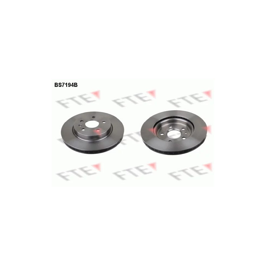 FTE 9081073 Brake Disc