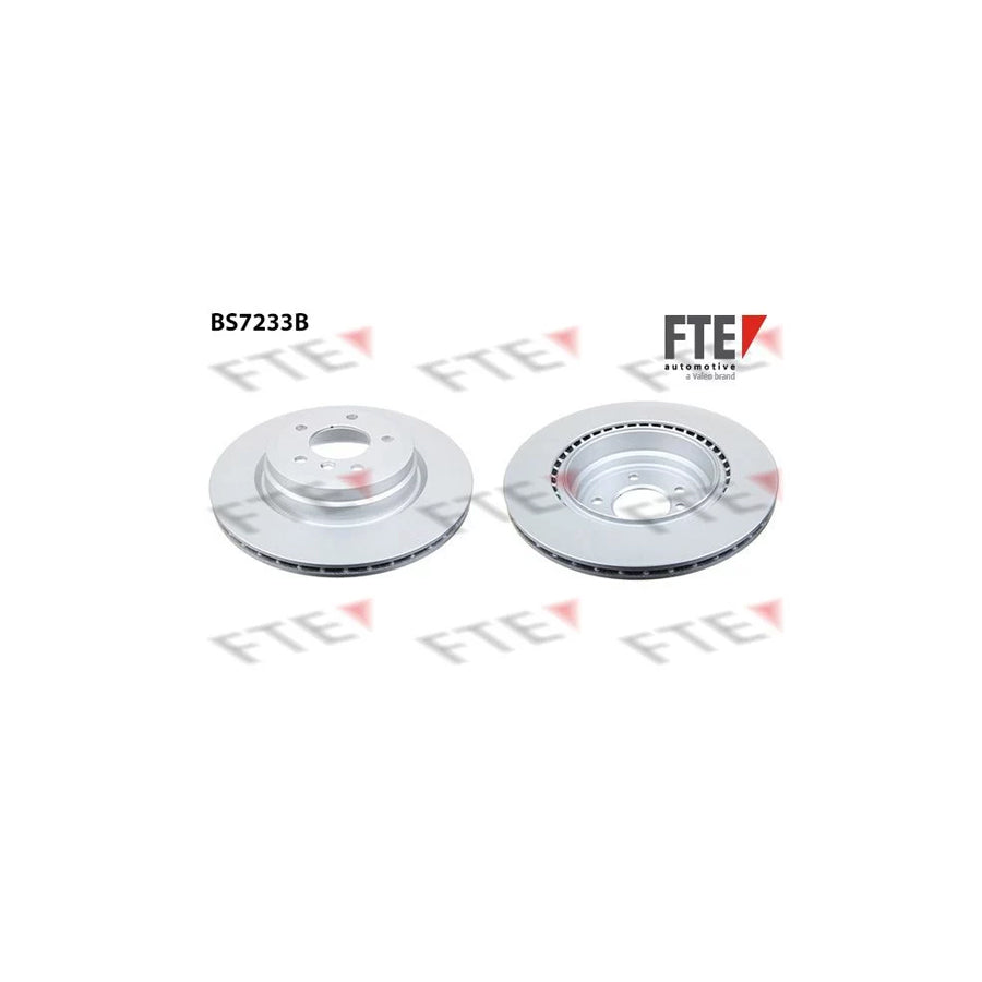 FTE 9081102 Brake Disc