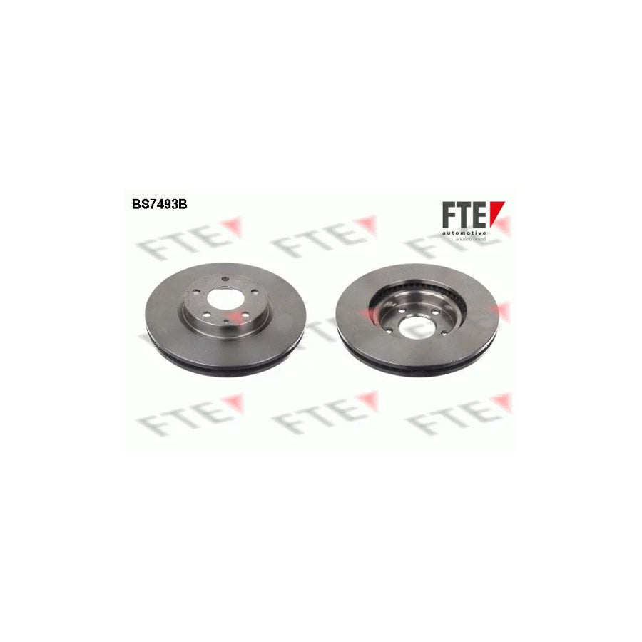 FTE Bs7493B Brake Disc
