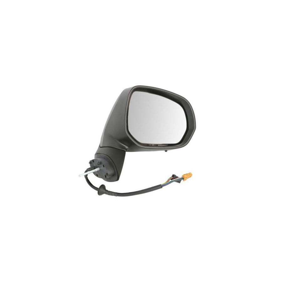 Blic 5402-21-037368P Wing Mirror for Citroen C3 Picasso