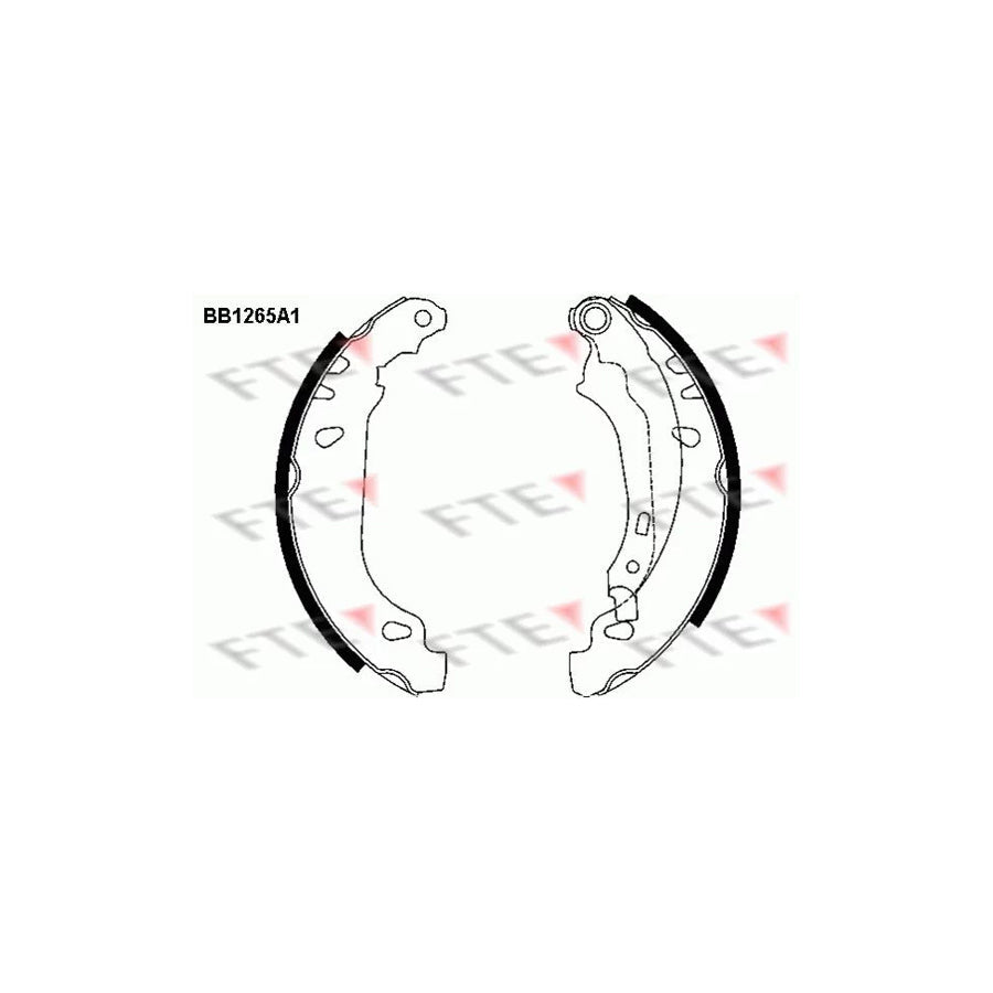 FTE Bb1265A1 Brake Shoe Set for Peugeot 206