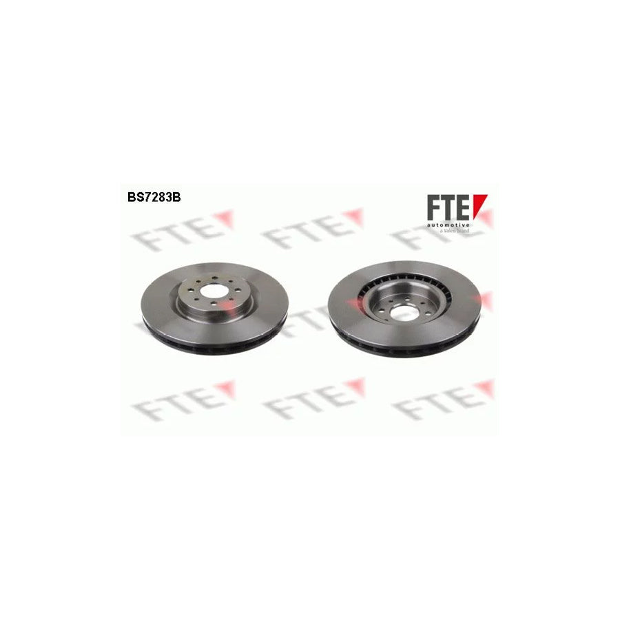 FTE 9081094 Brake Disc for Alfa Romeo Mito (955)