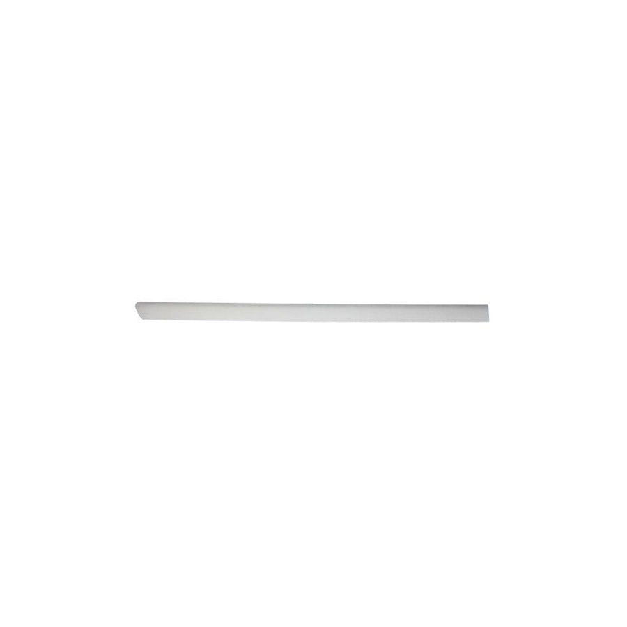 Blic 5703-04-9539578P Door Molding for VW Passat
