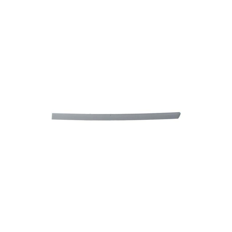 Blic 5703-04-9539577P Door Molding for VW Passat