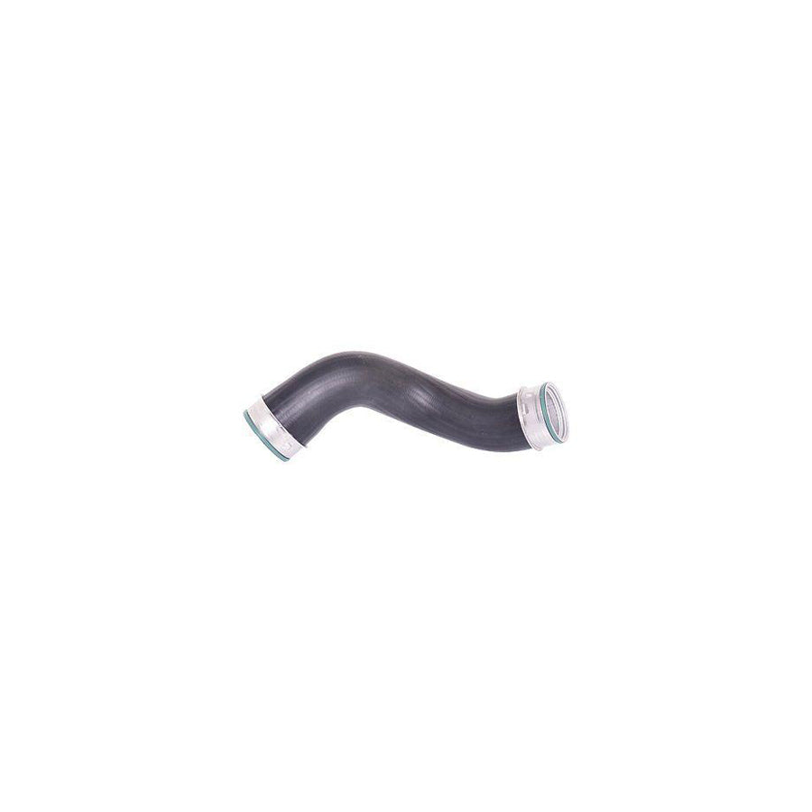 BUGIAD 81614 Charger Intake Hose Suitable for Mercedes-Benz E-Class