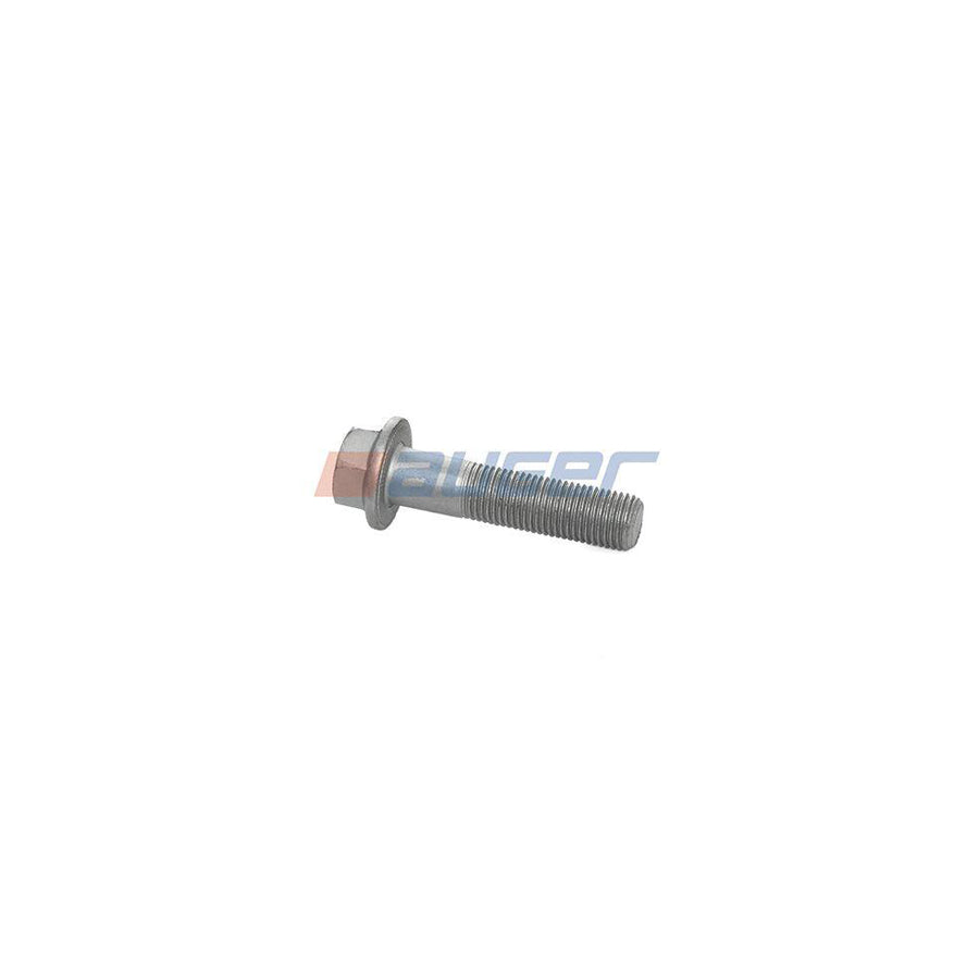 Auger 51521 Screw