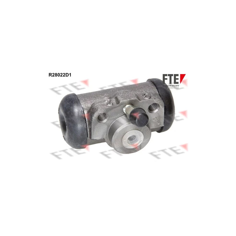 FTE R28022D1 Wheel Brake Cylinder