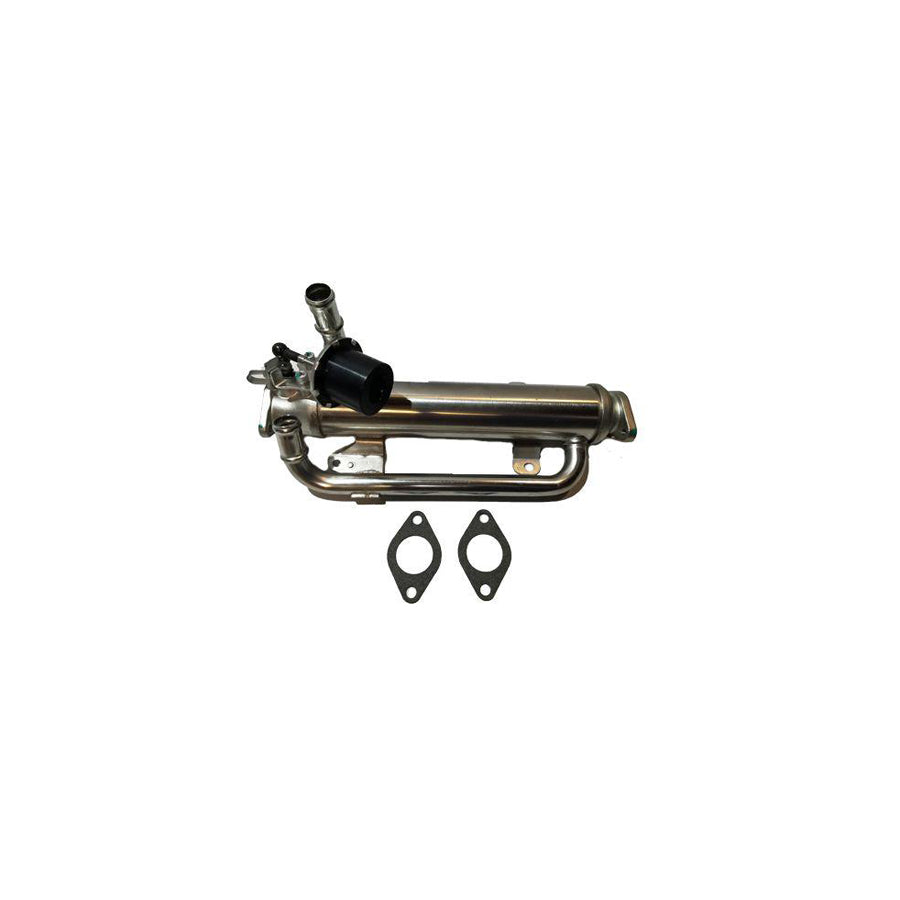 BUGIAD Bsp25206 Egr Valve