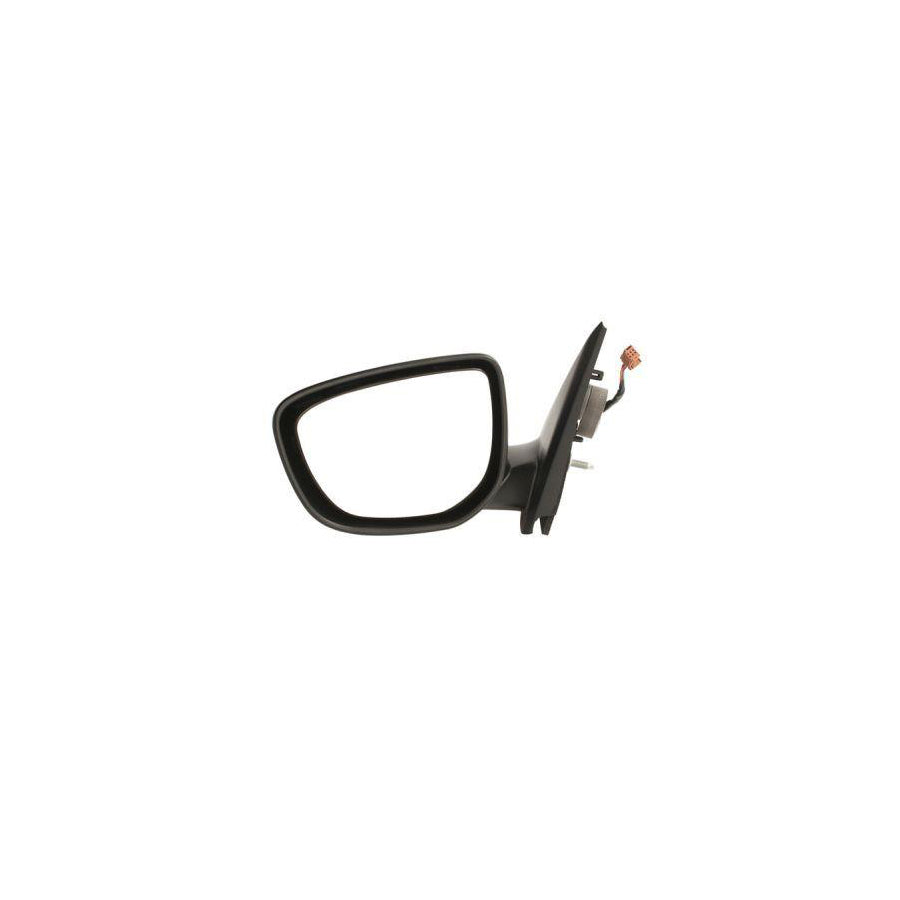 Blic 5402-21-044361P Wing Mirror