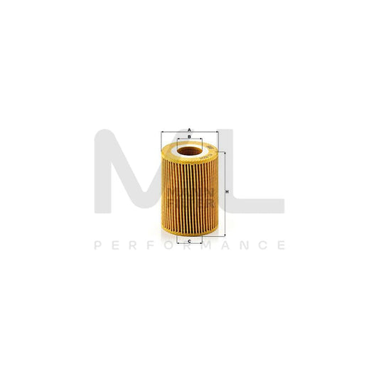 MANN-FILTER HU 820/1 y Oil Filter with seal, Filter Insert