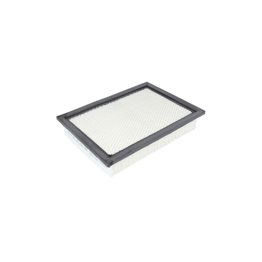 Boss Filters Bs02-251 Pollen Filter