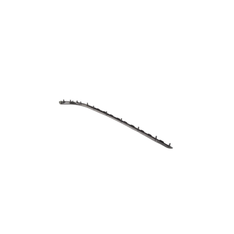 Genuine BMW 51417389530 F33 F32 Accent Molding, Front Right SCHWARZ (Inc. 435dX, 420i & 418d)