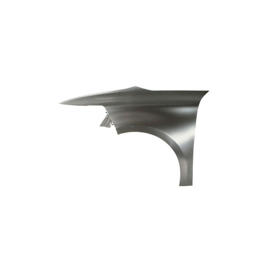 Blic 6504-04-0538313P Wing Fender for Citroen C4 II Picasso