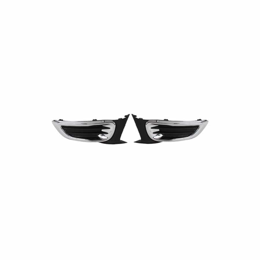 Blic 6502-07-0541996P Bumper Grill for Citroen C3