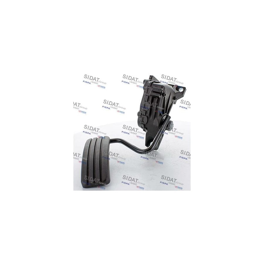 FISPA 84.2076 Accelerator Pedal Kit for RENAULT Espace IV (JK)