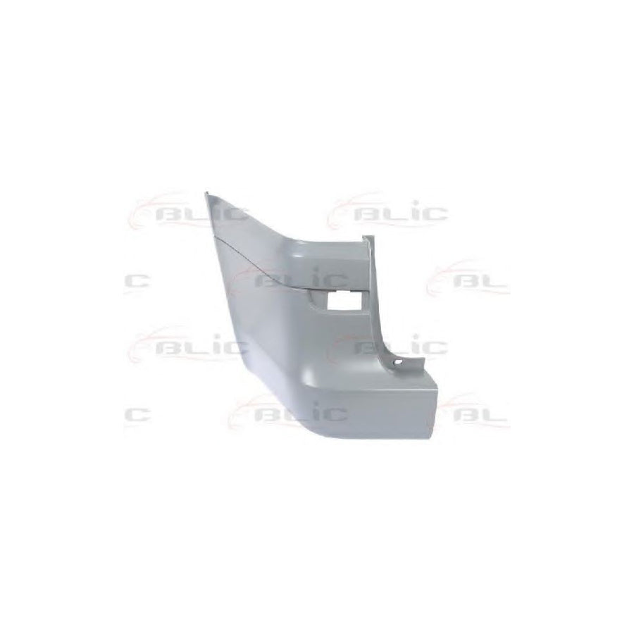 Blic 5506-00-3542961P Rear Bumper Suitable for Mercedes-Benz Viano (W639)