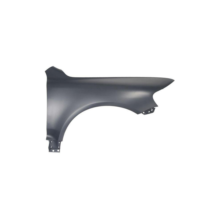 Blic 6601-01-0538811P Repair Panel for Citroen C4