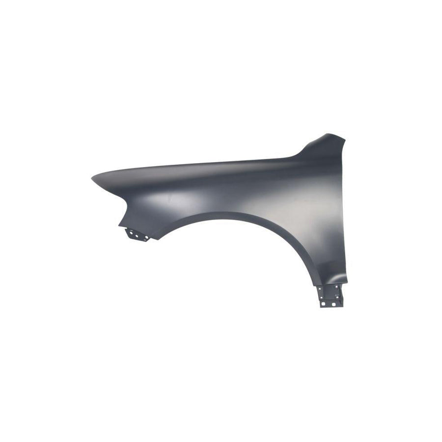Blic 6601-01-0538802P Repair Panel for Citroen C4