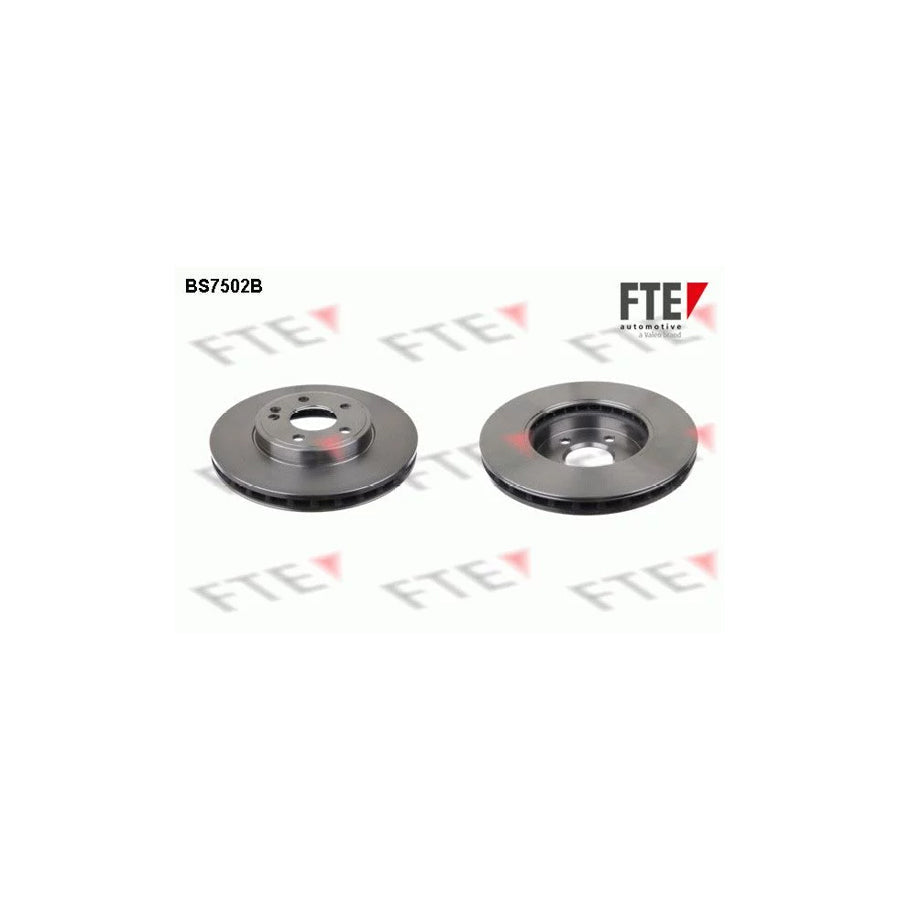 FTE Bs7502B Brake Disc