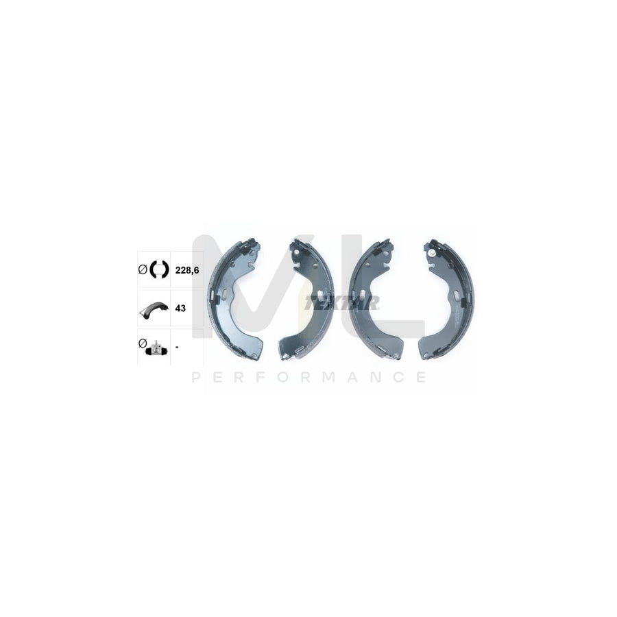 TEXTAR 91060600 Brake Shoe Set without handbrake lever