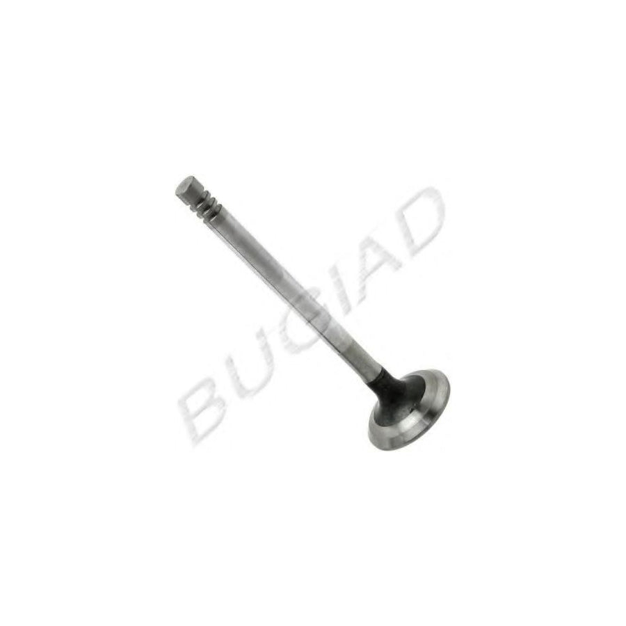 BUGIAD Bsp21543 Inlet Valve