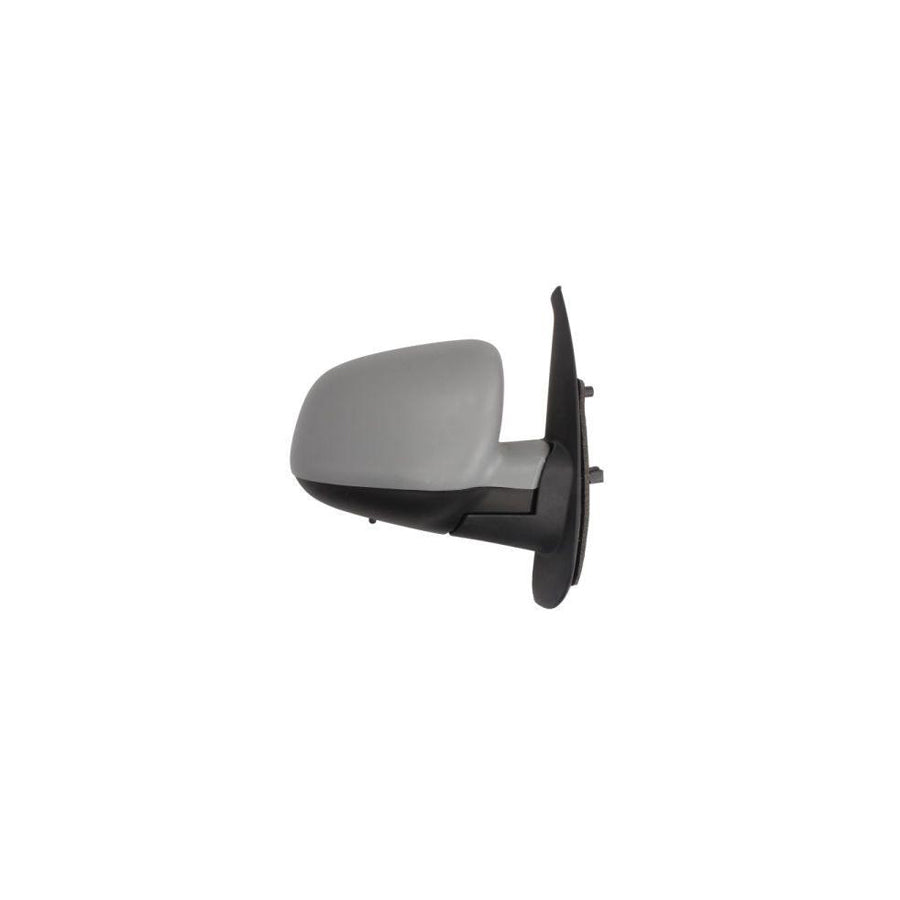 Blic 5402-02-2001758P Wing Mirror