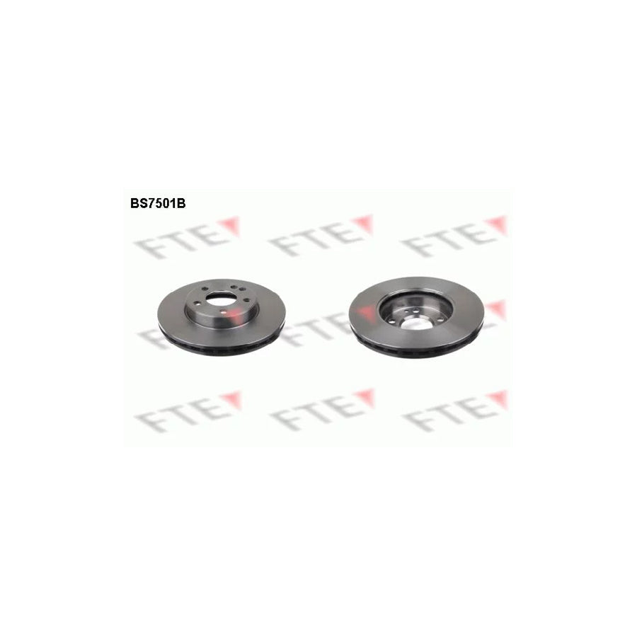 FTE Bs7501B Brake Disc