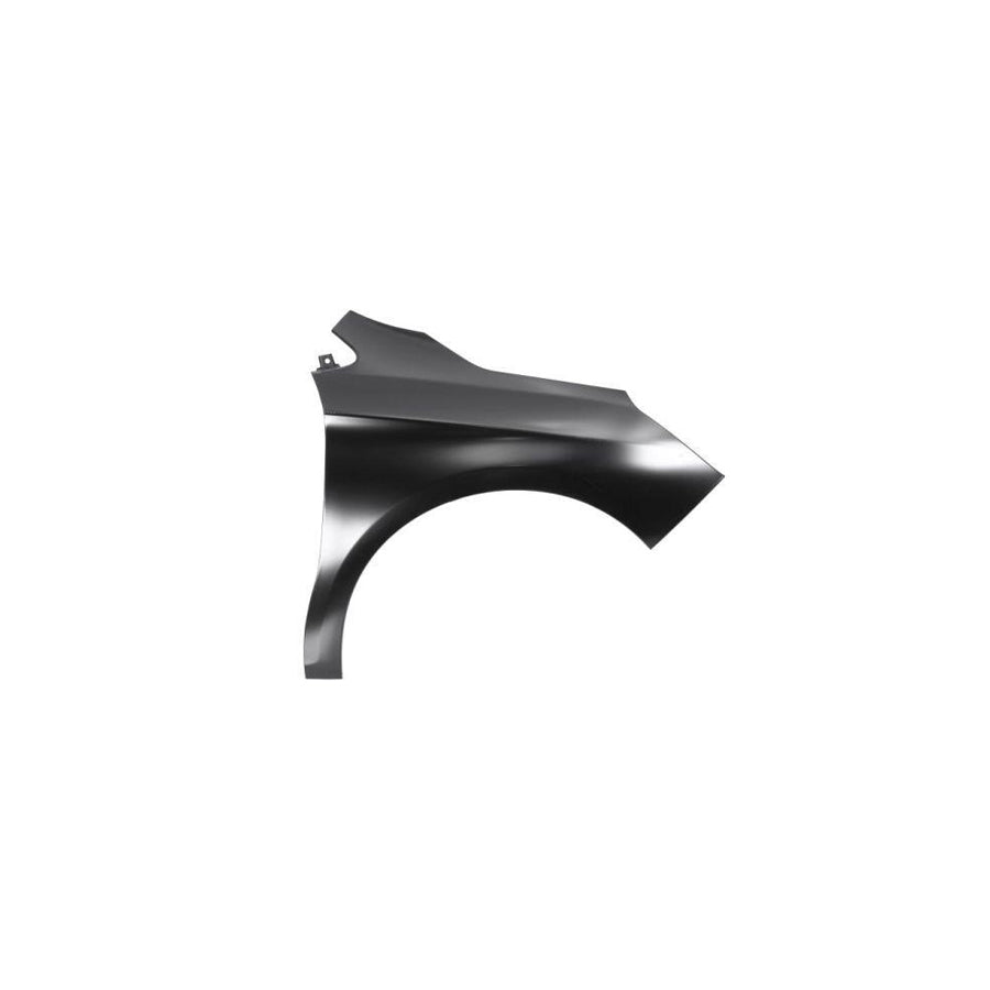 Blic 6504-04-0537314Q Wing Fender for Citroen C4