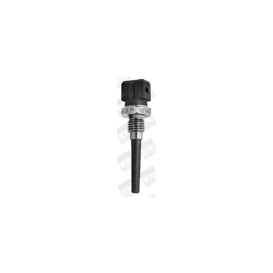 Beru St010 Sender Unit, Intake Air Temperature