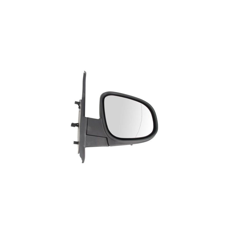 Blic 5402-02-2001754P Wing Mirror
