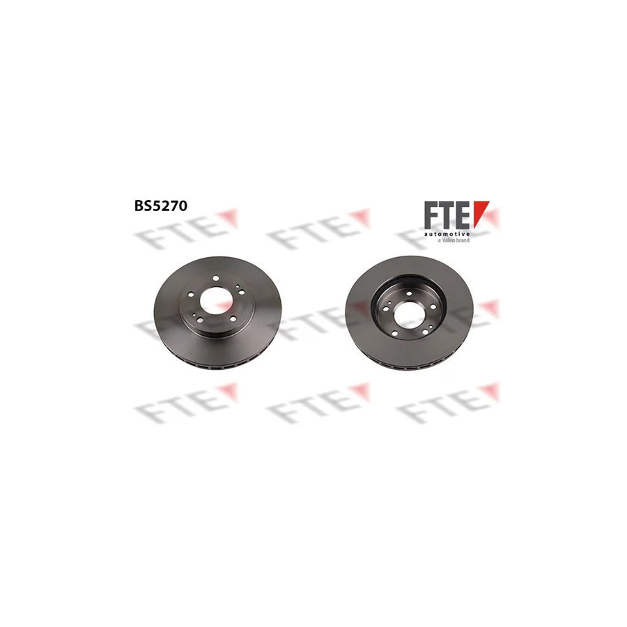 FTE Bs5270 Brake Disc
