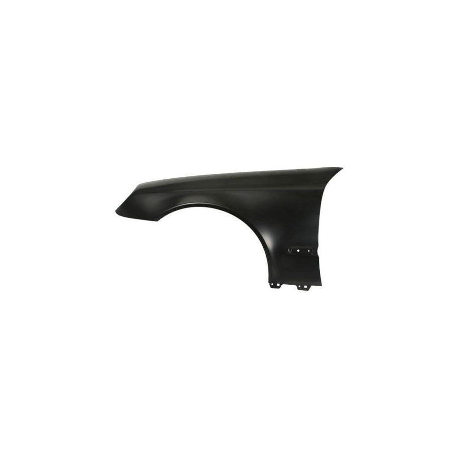 Blic 6504-04-3528311P Wing Fender Suitable for Mercedes-Benz E-Class