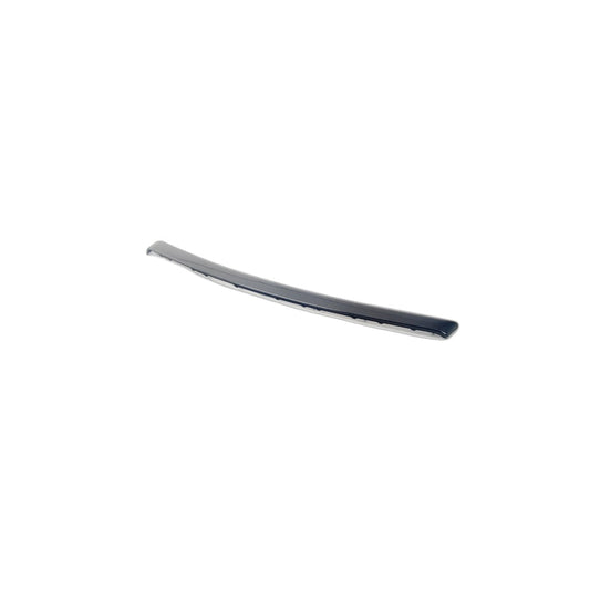 Genuine BMW 51419171788 E90 E91 Decorative Strip, Door Front Right DIAMANTSCHWARZ (Inc. 320d, 316d & 323i)
