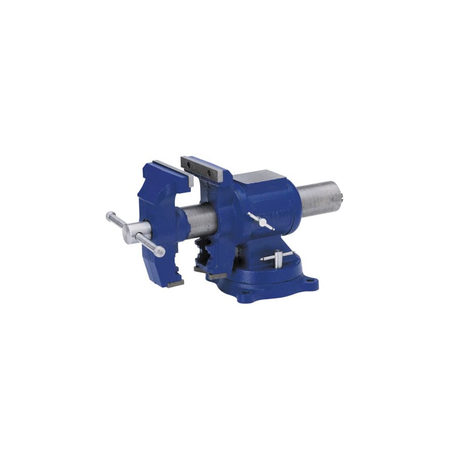 IRWIN® Record® REC4935505E Multipurpose Vice 125mm (5in)