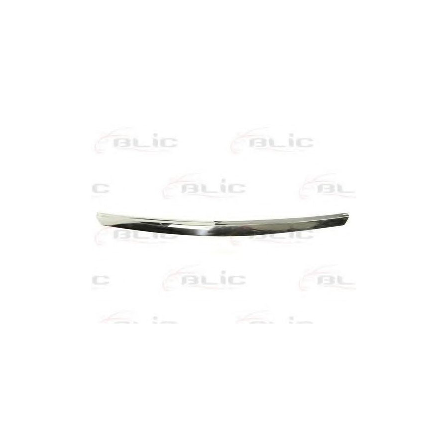 Blic 6502-07-3475994P Trim / Protective Strip, Radiator Grille for Mazda 323