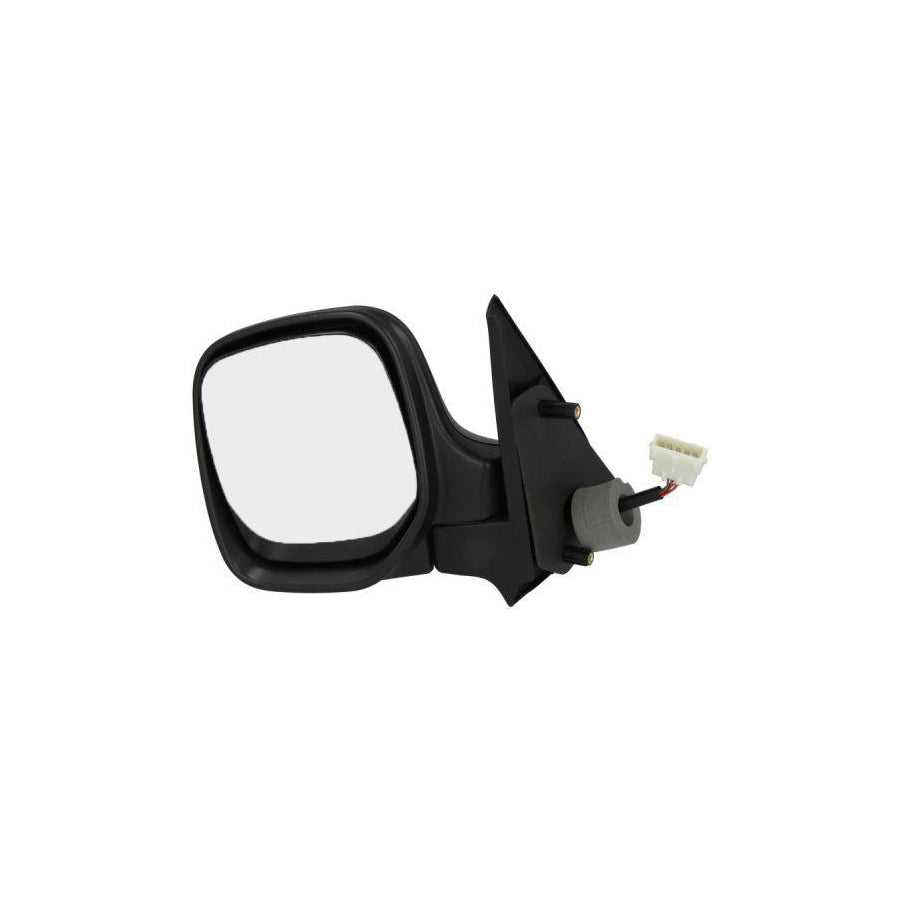 Blic 5402-04-9225972 Wing Mirror