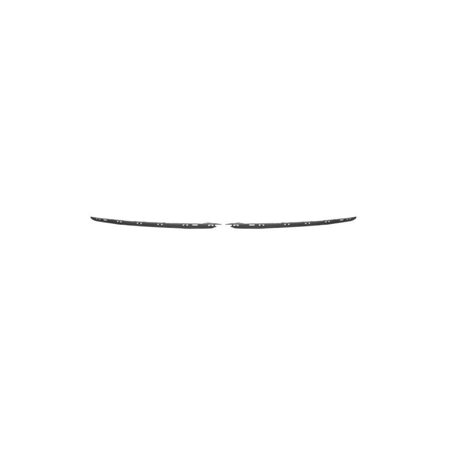 Blic 6502-07-0538922P Bumper Moulding for Citroen C4