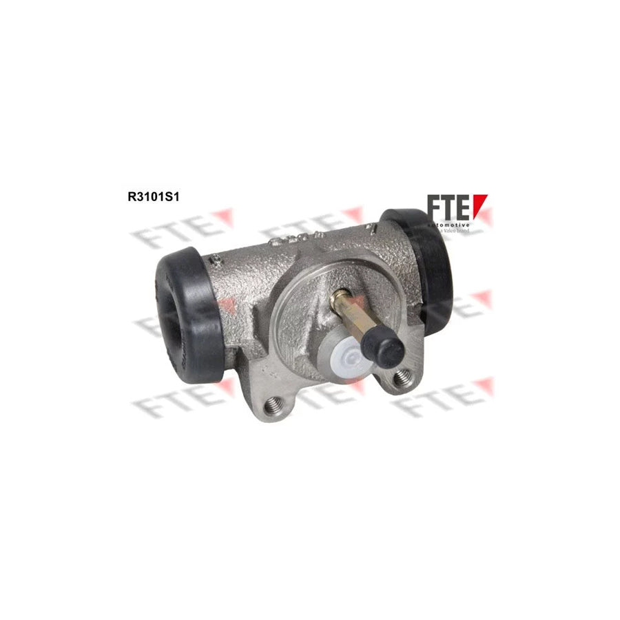 FTE R3101S1 Wheel Brake Cylinder