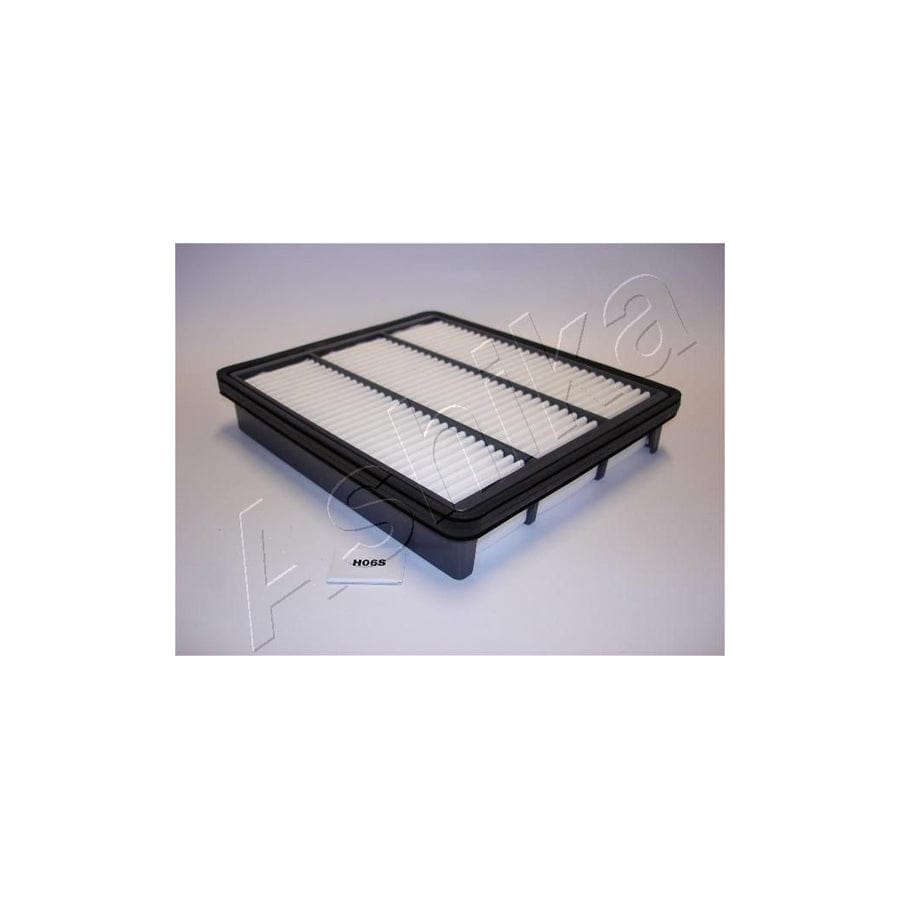 Ashika 20-H0-006 Air Filter For Hyundai Terracan (Hp)