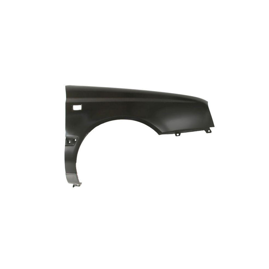Blic 6504-04-9522312P Wing Fender
