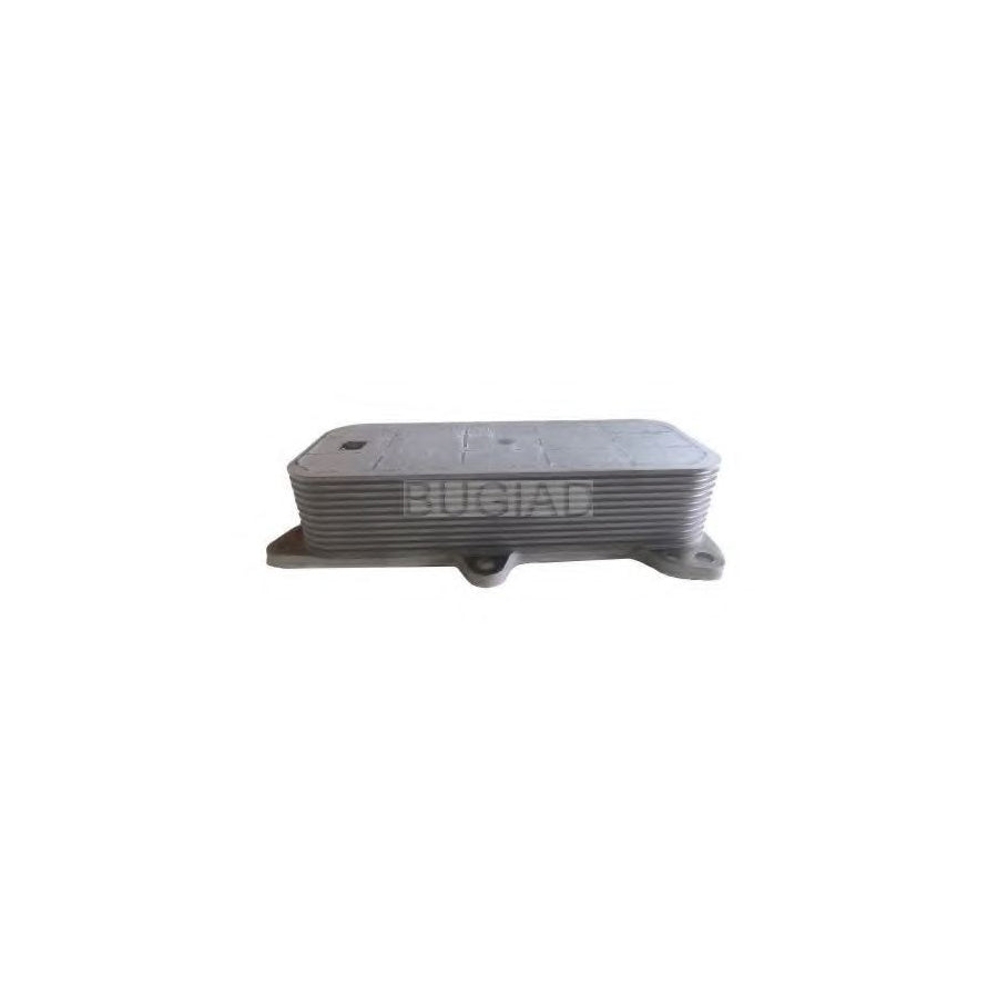 BUGIAD Bsp23340 Engine Oil Cooler
