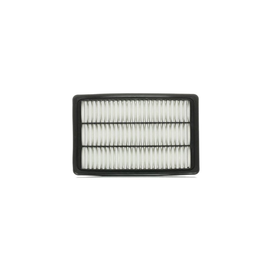 Ridex 8A0248 Air Filter For Hyundai Santa Fe