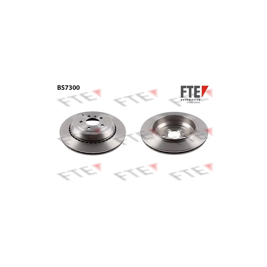 FTE 9071220 Brake Disc
