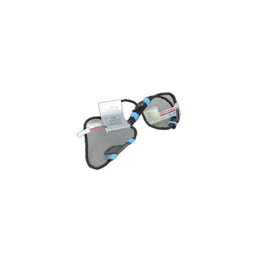 Genuine BMW 63177184659 E70 E71 Door Handle Light, Front Left (Inc. X5 30dX)