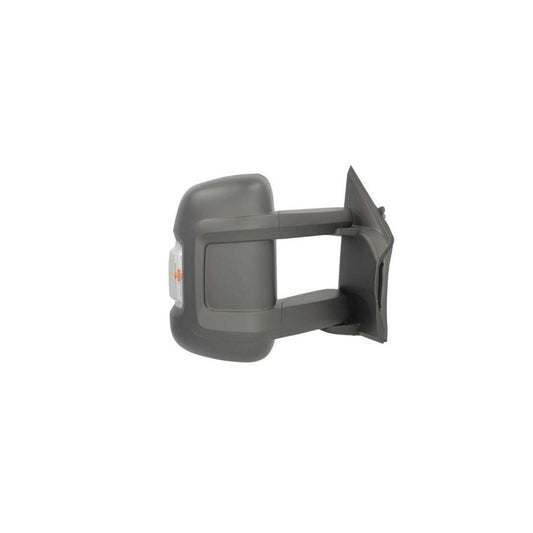 Blic 5402-21-2001112P Wing Mirror