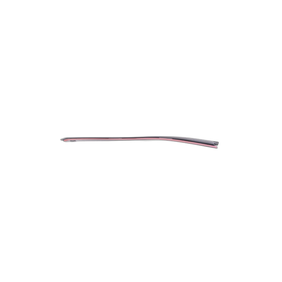 Genuine BMW 51447317491 Door Weatherstrip Rear Left (Inc. i3s 94Ah Rex, i3 120Ah Rex & i3 120Ah)