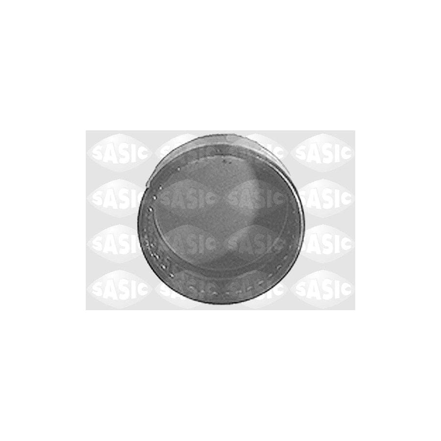 Sasic 1315485 Axle Bush