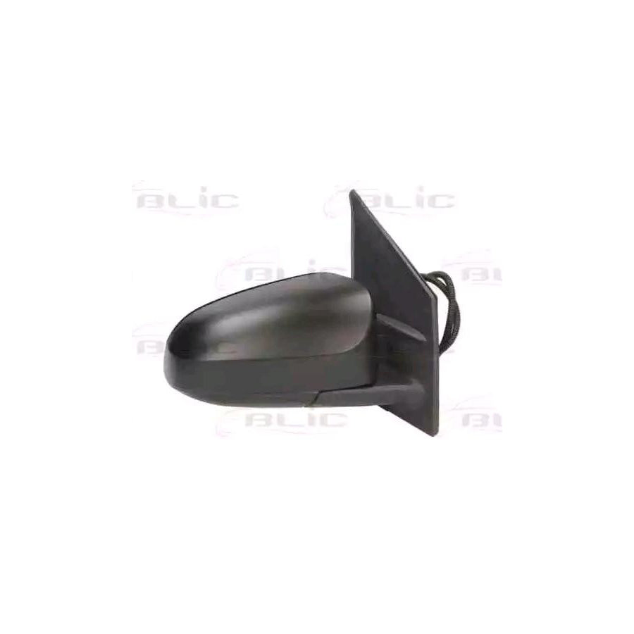 Blic 5402-21-045366P Wing Mirror