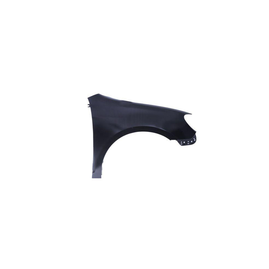 Blic 6504-04-9534312Q Wing Fender for VW Golf