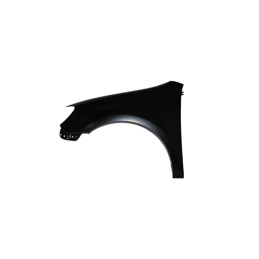 Blic 6504-04-9534311P Wing Fender for VW Golf